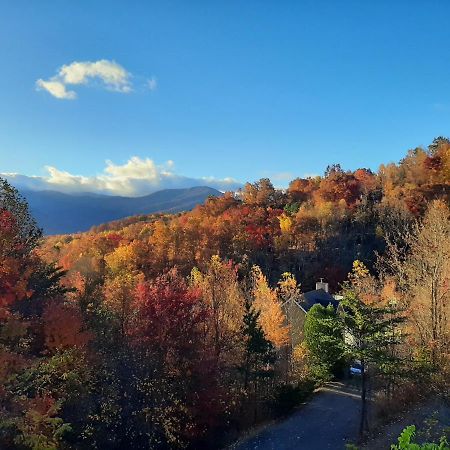3 Decks, Mtn Views! Tree Tops By Honeybearcabins - Luxury Rain Showers, 3 King Suites, Xl Hottub, Fireplace, Bear Sightings Gatlinburg Dış mekan fotoğraf