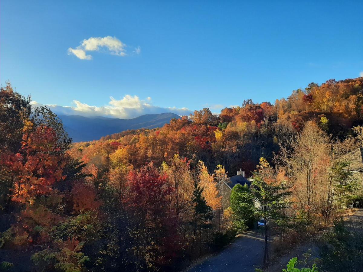 3 Decks, Mtn Views! Tree Tops By Honeybearcabins - Luxury Rain Showers, 3 King Suites, Xl Hottub, Fireplace, Bear Sightings Gatlinburg Dış mekan fotoğraf